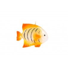 Ψάρι Νέμο