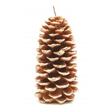 Lobloly Pinecone Giant